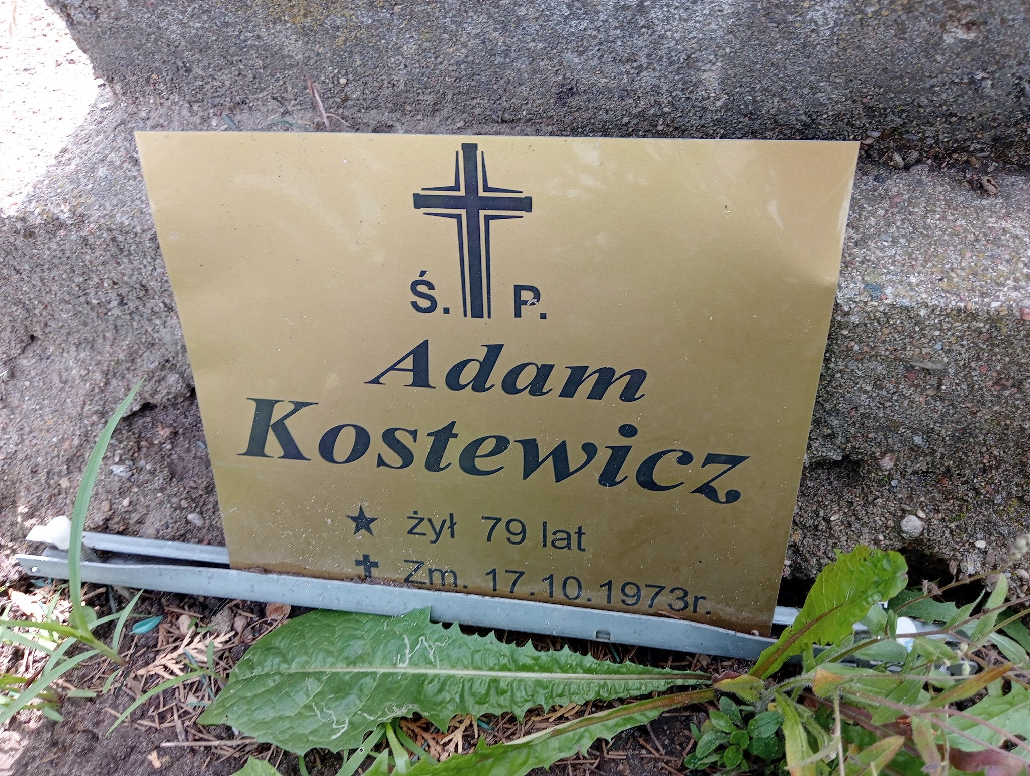 Zdjęcie grobu
