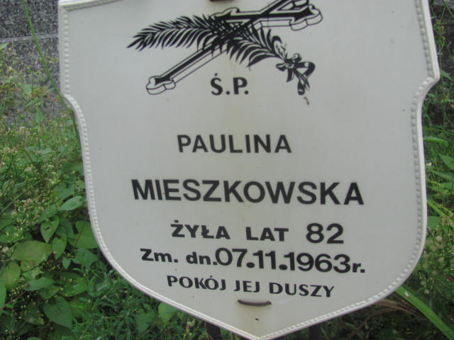 Paulina Mieszkowska 1878 Winnica - Grobonet - Wyszukiwarka osób pochowanych